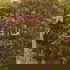 Here | هُنا