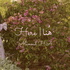 Here | هُنا