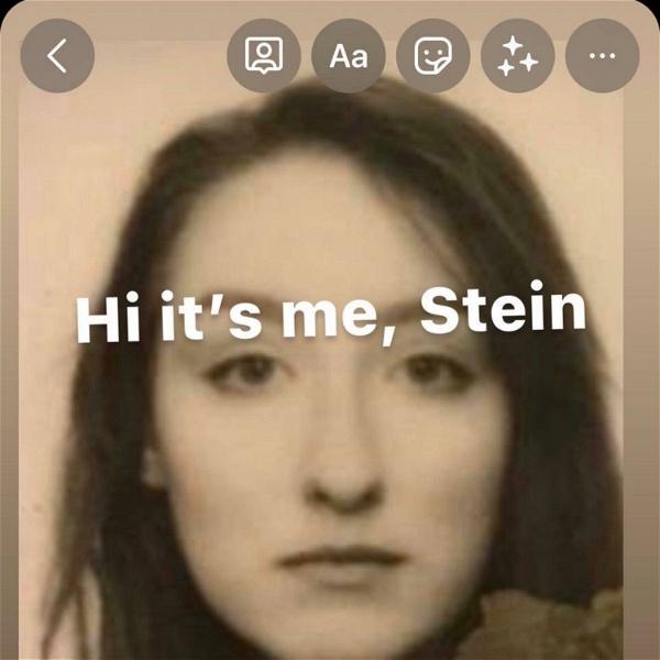Artwork for Hi, it’s me, Stein.