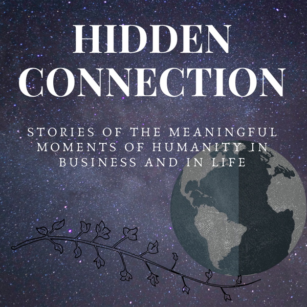 Artwork for Hidden Connection