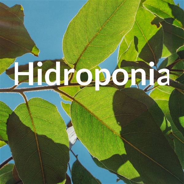 Artwork for Hidroponia