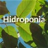 Hidroponia