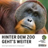 Hinter dem Zoo geht's weiter - Der Naturschutzpodcast aus Frankfurt