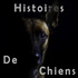 Histoires de Chiens
