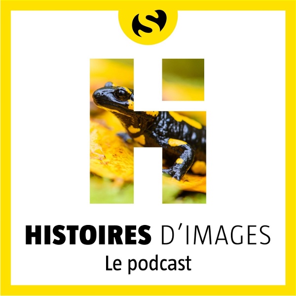 Artwork for Histoires d'images