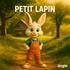 Histoires pour enfants : Petit Lapin