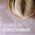 Historier fra SydkystDanmark