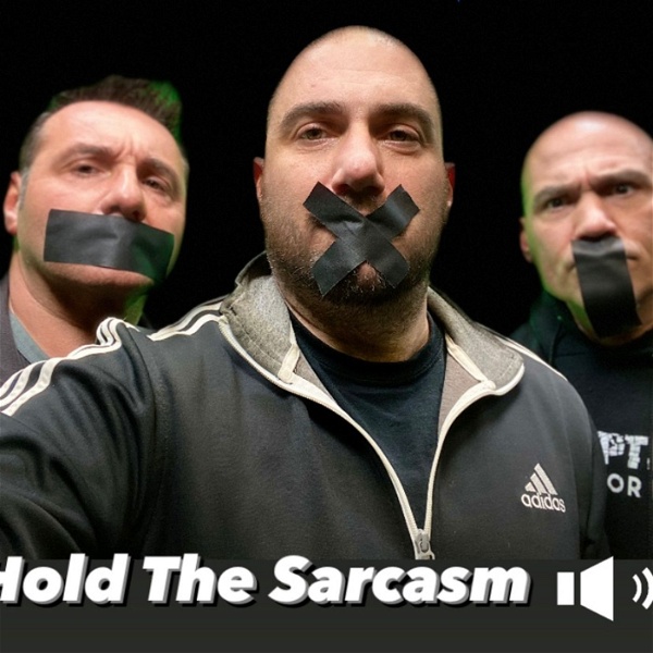 Artwork for Hold The Sarcasm