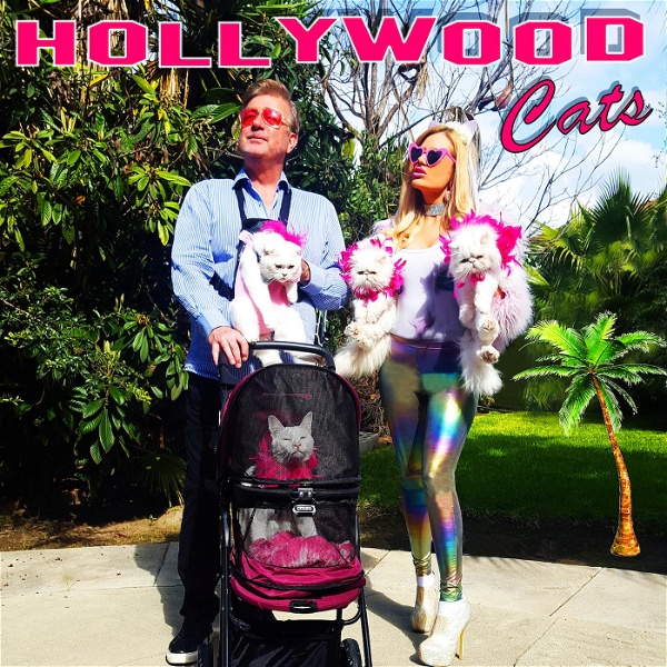 Artwork for Hollywood Cats Podcast