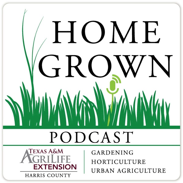 Artwork for Home Grown Podcast