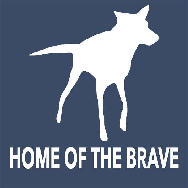 Artwork for Home of the Brave