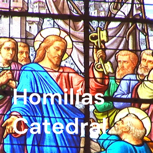 Artwork for Homilías Catedral