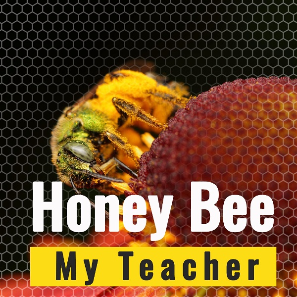 Artwork for Honey Bee My Teacher