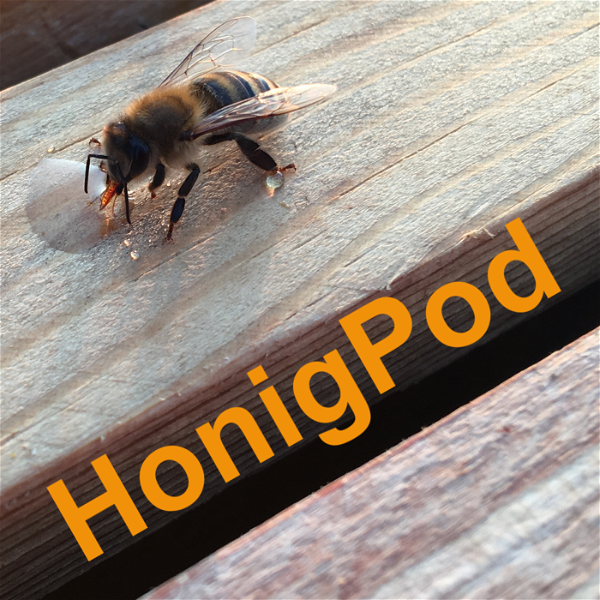 Artwork for HonigPod