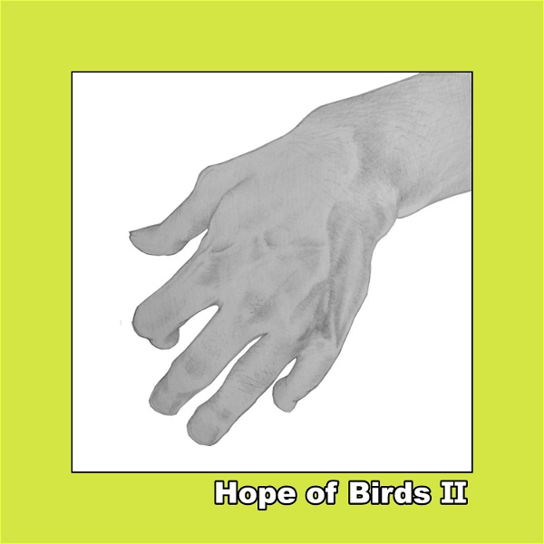 Artwork for Hope of Birds Ⅱ