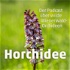 Horchidee