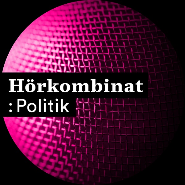Artwork for Hörkombinat :Politik