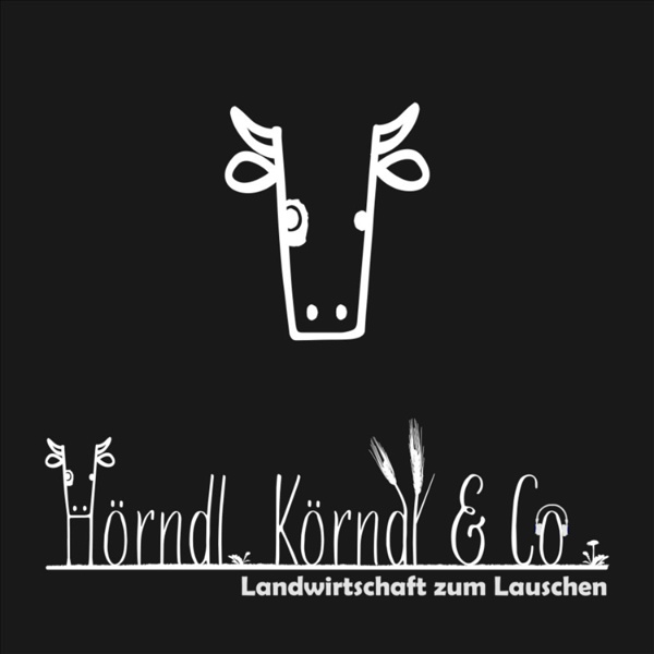 Artwork for Hörndl, Körndl & Co