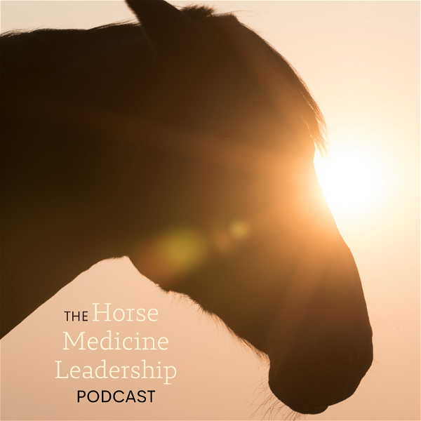 Artwork for Horse Medicine Leadership Podcast