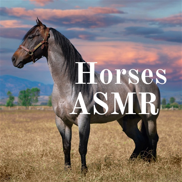 Artwork for Horses ASMR