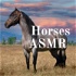 Horses ASMR