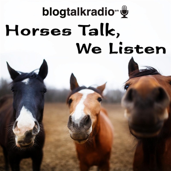 Artwork for Horses Talk, We Listen