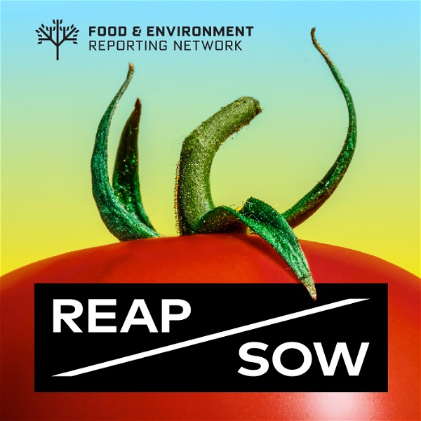 Artwork for REAP/SOW
