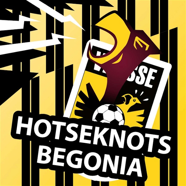 Artwork for Hotseknotsbegonia