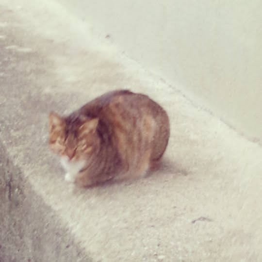 Artwork for 後藤さんはラジオでもひとりごと