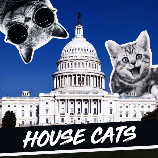 Artwork for House Cats