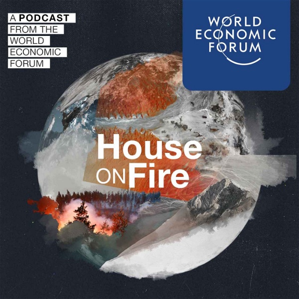 Artwork for House on Fire
