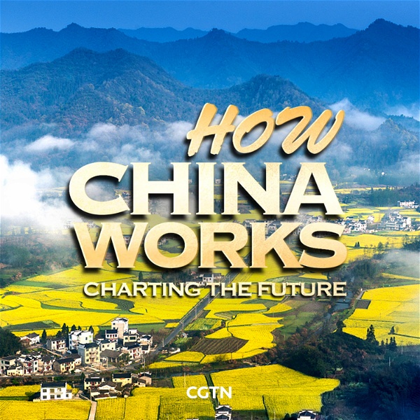 Artwork for How China Works