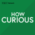 How Curious