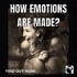 How Emotions Are Made?
