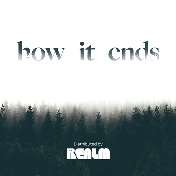 Artwork for How it Ends