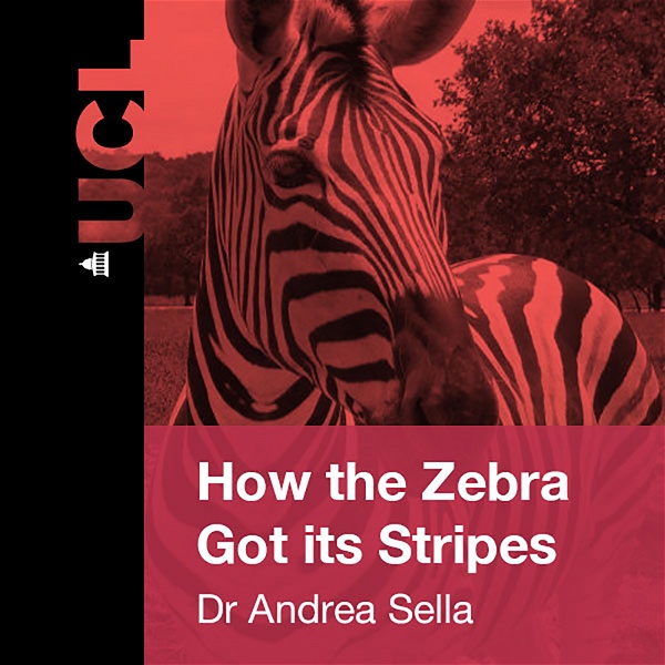 Artwork for How the Zebra Got Its stripes – Getting to the heart of Pattern Formation