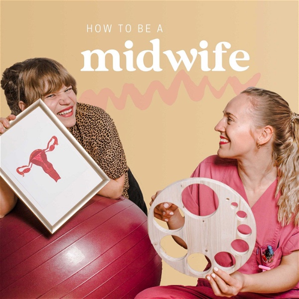 Artwork for How to be a midwife