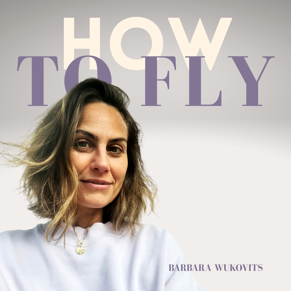 Artwork for How To Fly