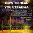 How To Heal Your Trauma with David Dardashti