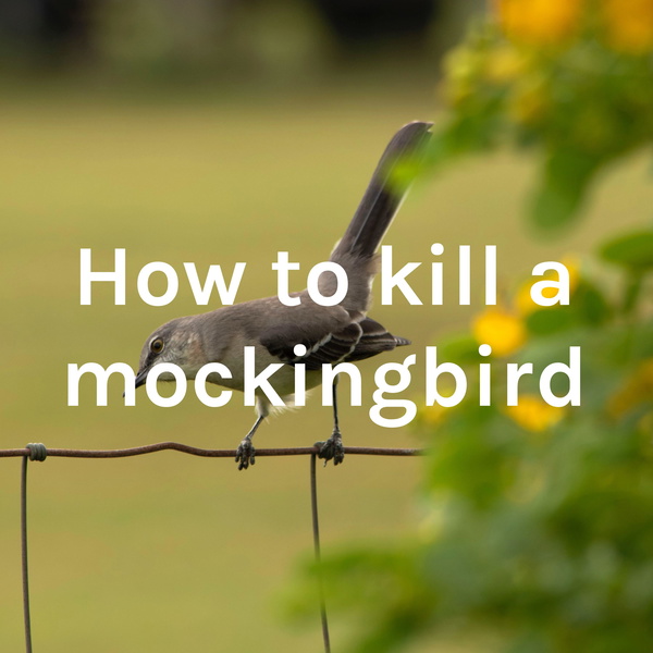 Listener Numbers, Contacts, Similar Podcasts How to kill a mockingbird