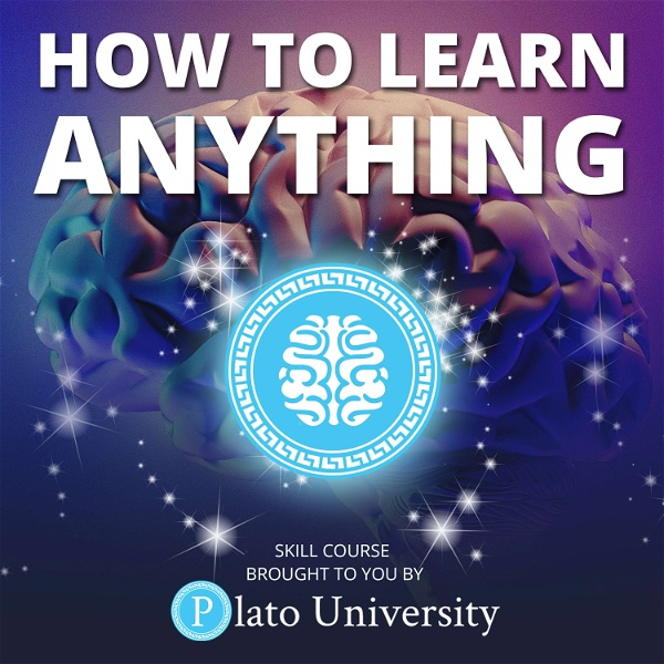 Artwork for How to Learn Anything