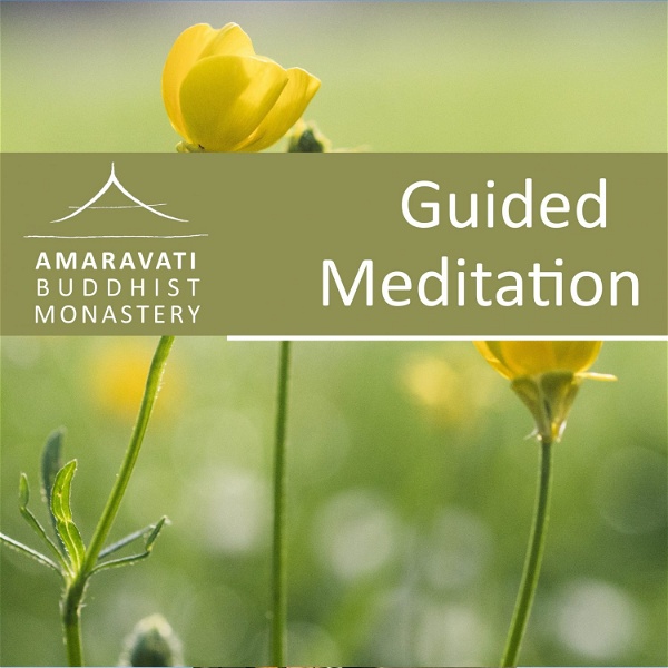 Artwork for How to meditate