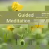 How to meditate | Guided Meditation and talks