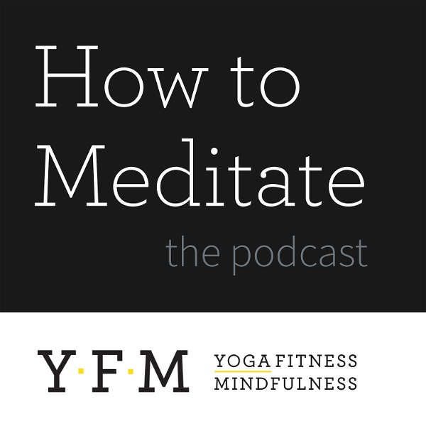 Artwork for How to Meditate