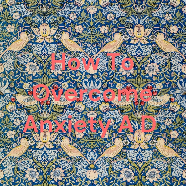 Artwork for How To Overcome Anxiety A D