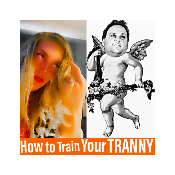 Artwork for How to Train Your TRANNY