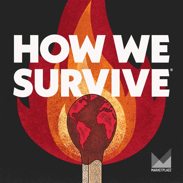 Artwork for How We Survive