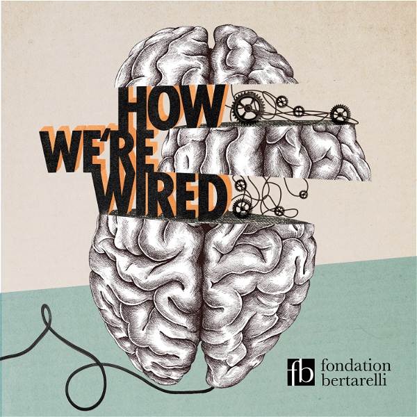How We're Wired