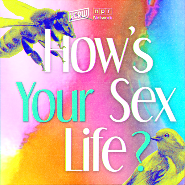 Artwork for How’s Your Sex Life?
