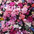 Hrita